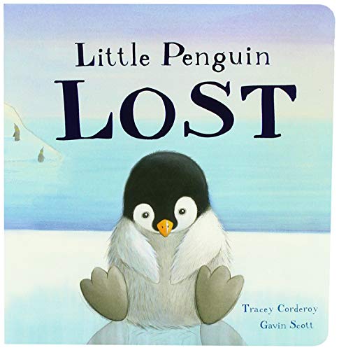 Little Penguin Lost von Little Tiger Press Group