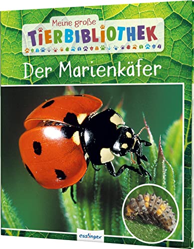 Meine große Tierbibliothek: Der Marienkäfer: Sachbuch für Vorschule & Grundschule