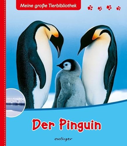 Meine große Tierbibliothek: Der Pinguin