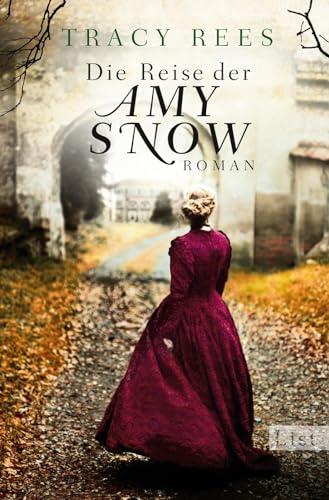 Die Reise der Amy Snow: Roman Die Reise der Amy Snow: Roman