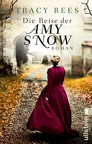 Die Reise der Amy Snow: Roman von ULLSTEIN TASCHENBUCH