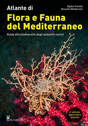 Atlante di flora e fauna del Mediterraneo. Guida alla biodiversità degli ambienti marini. Ediz. illustrata (Natura)