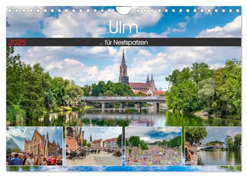Ulm für Nestspatzen (Wandkalender 2025 DIN A4 quer), CALVENDO Monatskalender von CALVENDO