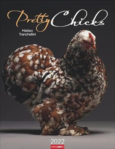 Pretty Chicks - der besondere Hühner Kalender 2022 - Tierkalender - Wandkalender mit Schmuck-Kalendarium - 12 Farbfotos - 34 x 44 cm von Weingarten
