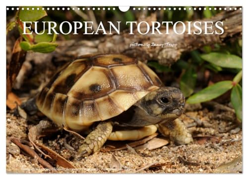 European Tortoises / UK-Version (Wall Calendar 2025 DIN A3 landscape), CALVENDO 12 Month Wall Calendar: The pictures in that calendar show tortoises of southern Europe in their habitats