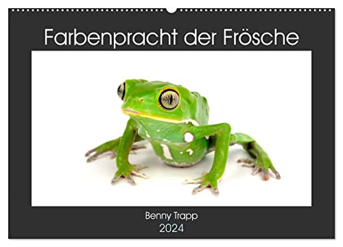 Farbenpracht der Frösche (Wandkalender 2024 DIN A2 quer), CALVENDO Monatskalender