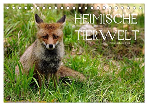 Heimische Tierwelt (Tischkalender 2025 DIN A5 quer), CALVENDO Monatskalender von CALVENDO