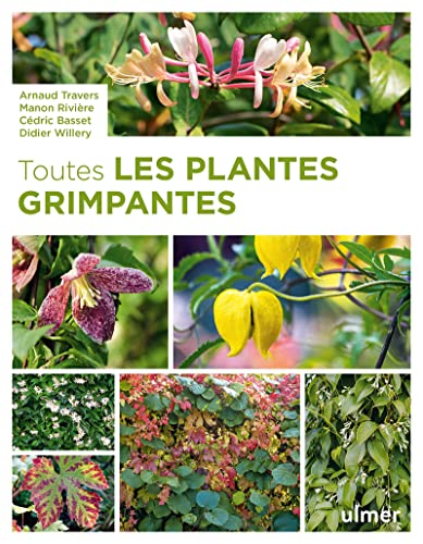 Toutes les plantes grimpantes Toutes les plantes grimpantes