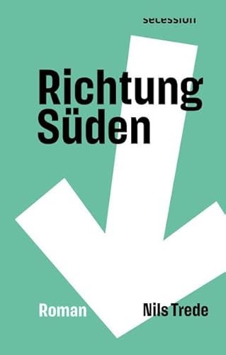 Richtung Süden: Roman