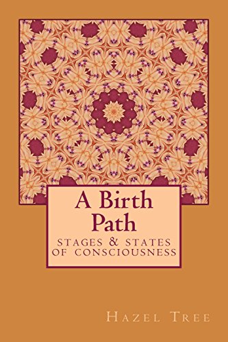 A Birth Path: stages & states of consciousness von CreateSpace Independent Publishing Platform