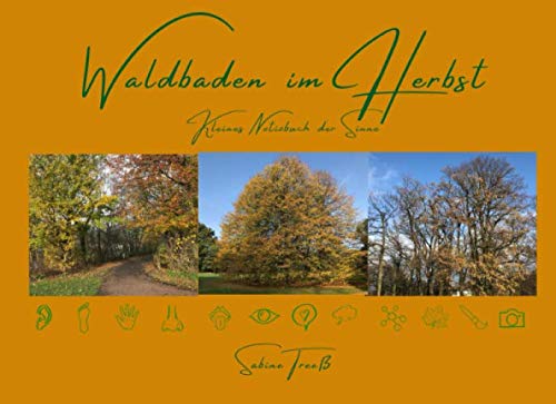 Waldbaden im Herbst - Kleines Notizbuch der Sinne