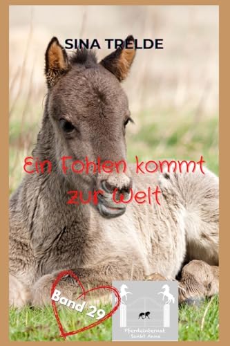 Ein Fohlen kommt zur Welt (Pferdeinternat Sankt Anna, Band 29) von CreateSpace Independent Publishing Platform