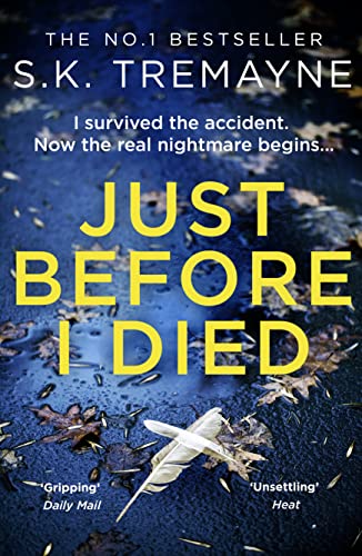 Just Before I Died: The gripping new psychological thriller from the bestselling author of The Ice Twins