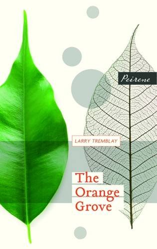 Orange Grove von Peirene Press Ltd