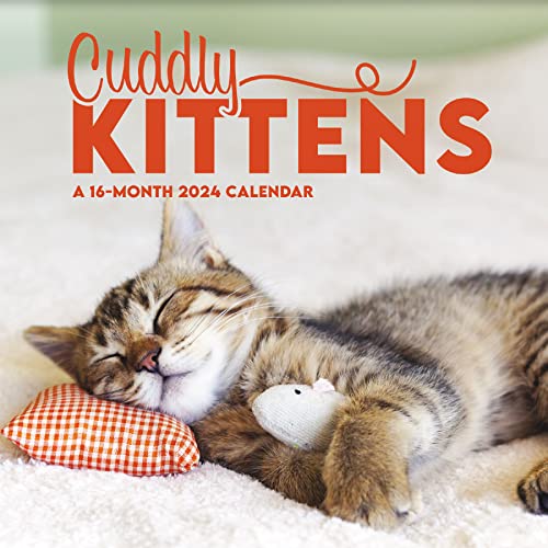 2024 Cuddly Kittens Mini Wall Calendar