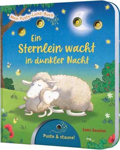Mein Puste-Licht-Buch: Ein Sternlein wacht in dunkler Nacht: Gute-Nacht-Buch mit Puste-Licht und LED-Lämpchen