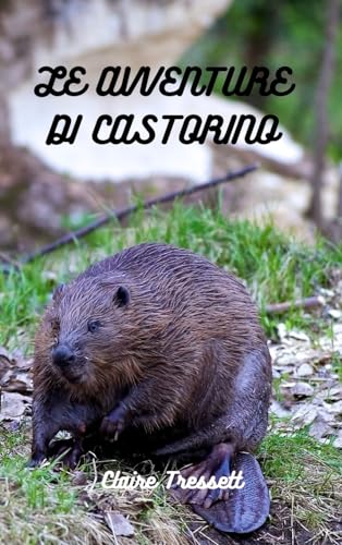 Le avventure di Castorino von Blurb