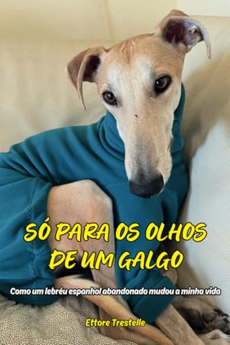 Só para os olhos de um galgo von Youcanprint