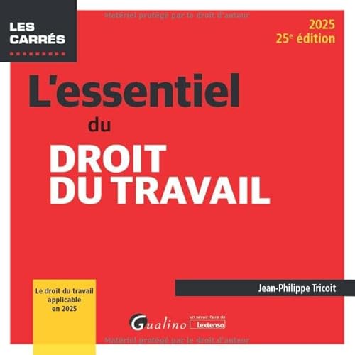 L'essentiel du droit du travail: Le droit du travail applicable en 2025 von GUALINO