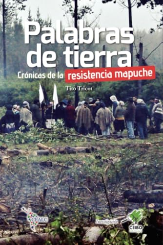 PALABRAS DE TIERRA: Crónicas de la Resistencia Mapuche (1995-2014) von Palabra editorial