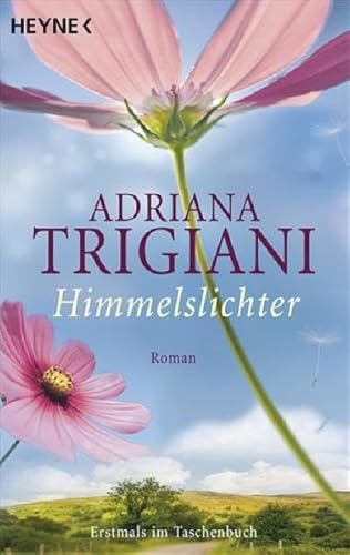 Himmelslichter: Roman