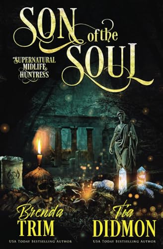 Son of the Soul: Paranormal Women's Fiction (Supernatural Midlife Huntress) (Shrouded Nation, Band 17) von Independently published