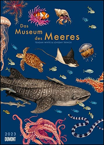 Das Museum des Meeres 2023 ‒ Posterkalender ‒ mit Illustrationen und vielen Erklärungen ‒ Spiralbindung ‒ Format 50 x 70 cm von Dumont Kalenderverlag