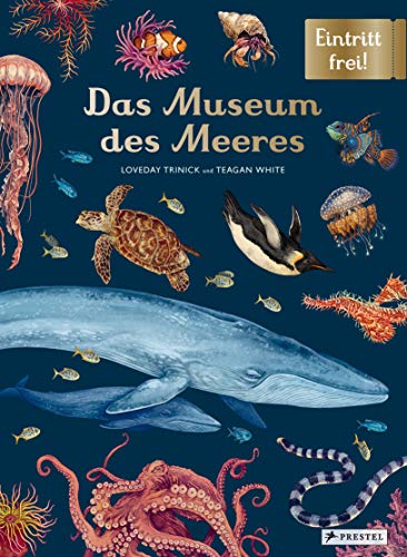 Das Museum des Meeres: Eintritt frei! von Prestel