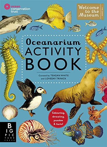 Oceanarium Activity: Text: Loveday Trinick - Illustrations: Teagan White (Welcome To The Museum) von Templar Publishing