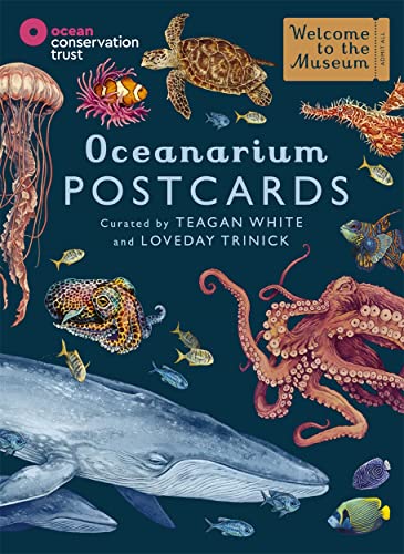 Oceanarium Postcards (Welcome To The Museum) von Big Picture Press