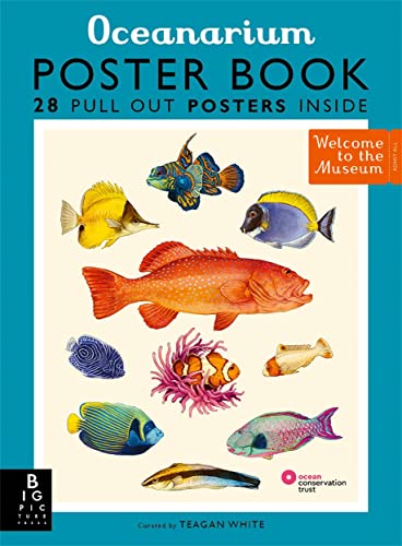 Oceanarium Poster Book: by Loveday Trinick and illustrator Teagan White (Welcome To The Museum)