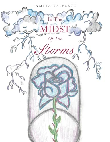 In The Midst Of The Storms von WestBow Press