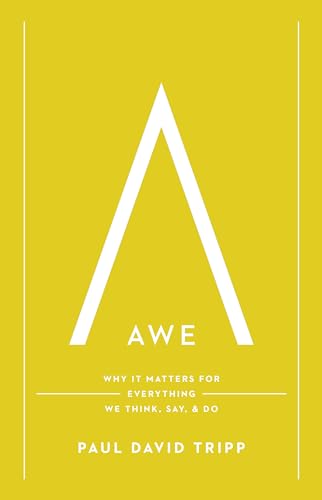 Awe: Why It Matters for Everything We Think, Say, & Do