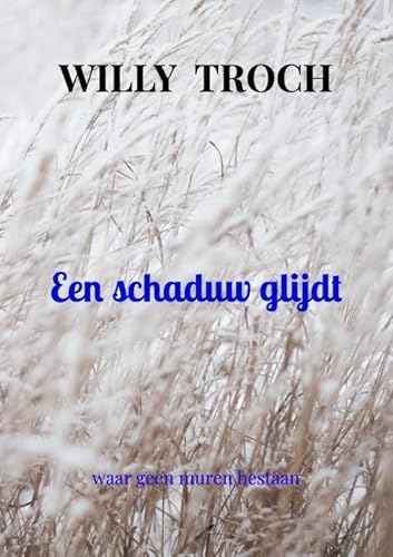 Een schaduw glijdt: waar geen muren bestaan von Brave New Books