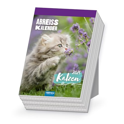 Trötsch Abreißkalender Katzen 2025: Aufstellkalender Tischkalender Abreißkalender