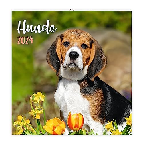 Trötsch Broschürenkalender Hunde 2024: Wandplaner Trötsch Broschürenkalender Hunde 2024: Wandplaner