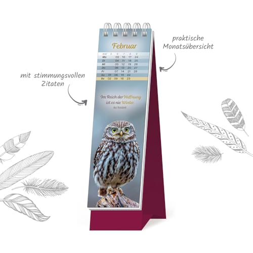 Trötsch Lesezeichenkalender Heimische Vögel 2025: Aufstellkalender Tischkalender Trötsch Lesezeichenkalender Heimische Vögel 2025: Aufstellkalender Tischkalender