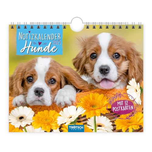 Trötsch Notizkalender Querformat Notizkalender Hunde 2025 mit 12 Postkarten: Wandkalender Notizkalender Trötsch Notizkalender Querformat Notizkalender Hunde 2025 mit 12 Postkarten: Wandkalender Notizkalender