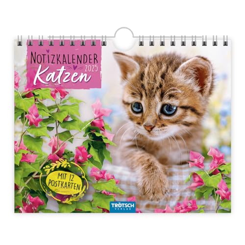 Trötsch Notizkalender Querformat Notizkalender Katzen 2025 mit 12 Postkarten: Wandkalender Notizkalender Trötsch Notizkalender Querformat Notizkalender Katzen 2025 mit 12 Postkarten: Wandkalender Notizkalender