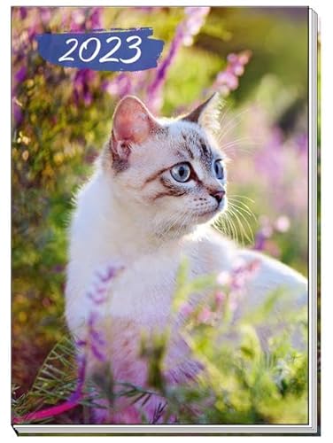 Trötsch Taschenkalender A7 Katze 2024: Mini-Terminkalender (Notizkalender)
