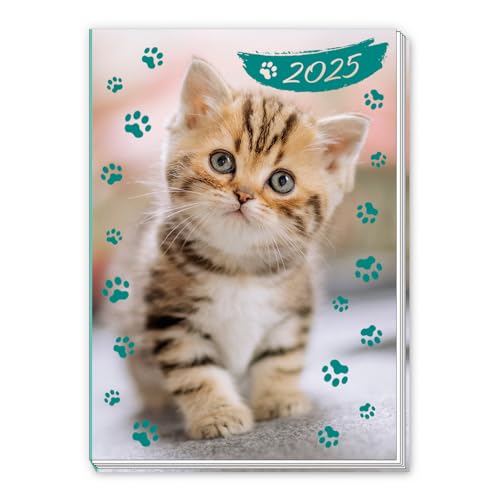 Trötsch Taschenkalender A7 Katze 2025: Mini-Terminkalender