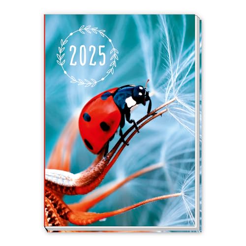 Trötsch Taschenkalender A7 Marienkäfer 2025: Mini-Terminkalender