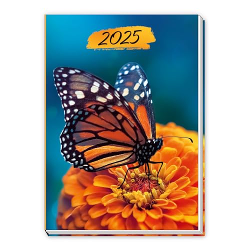 Trötsch Taschenkalender A7 Schmetterling 2025: Mini-Terminkalender von Trötsch Verlag GmbH & Co. KG