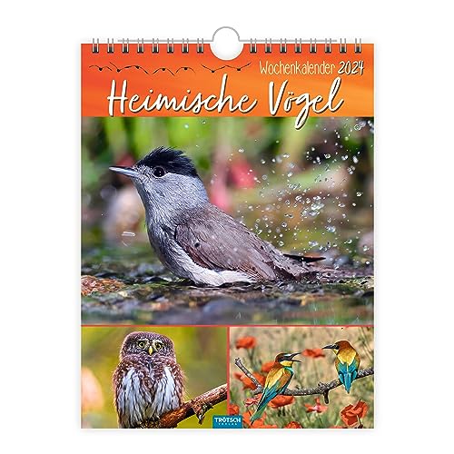 Trötsch Wochenkalender zum Hängen Heimische Vögel 2024: Wandkalender