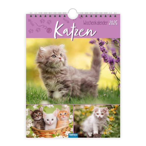 Trötsch Wochenkalender zum Hängen Katzen 2025: Wandkalender Trötsch Wochenkalender zum Hängen Katzen 2025: Wandkalender