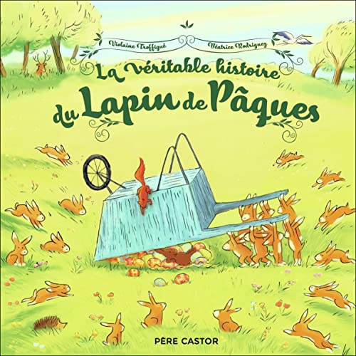 La véritable histoire du Lapin de Pâques von PERE CASTOR