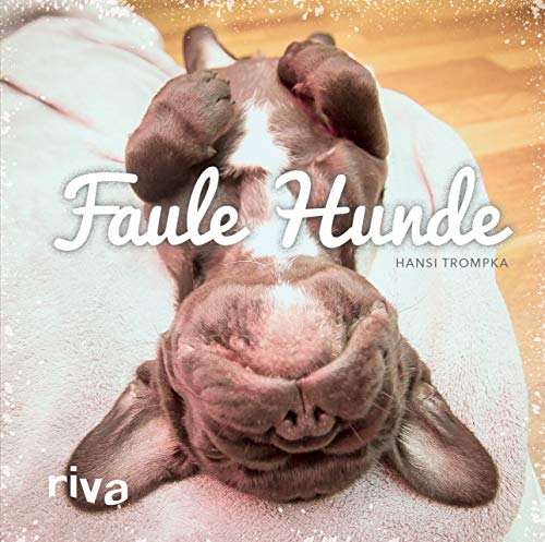 Faule Hunde von Riva