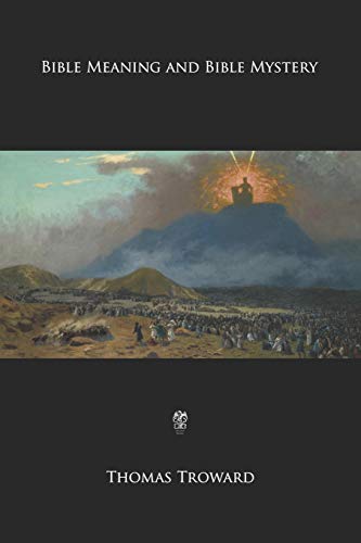Bible Meaning and Bible Mystery von Independently Published