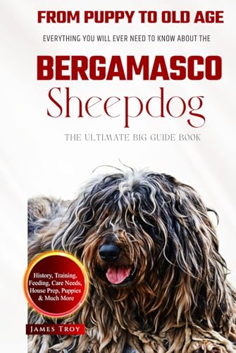 The Ultimate Bergamasco Sheepdog Big Guide: Everything You Will Ever Need To Know About The Bergamasco Sheepdog Book The Ultimate Bergamasco Sheepdog Big Guide: Everything You Will Ever Need To Know About The Bergamasco Sheepdog Book von Independently published