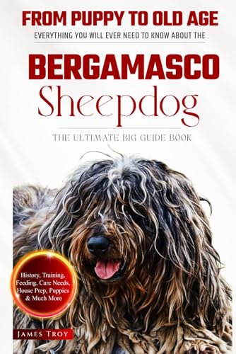 The Ultimate Bergamasco Sheepdog Big Guide: Everything You Will Ever Need To Know About The Bergamasco Sheepdog Book The Ultimate Bergamasco Sheepdog Big Guide: Everything You Will Ever Need To Know About The Bergamasco Sheepdog Book von Independently published